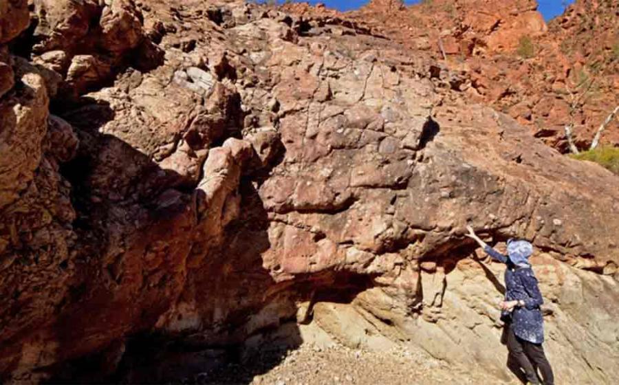 Deposits from the Sturtian Glaciation 717¬–664 million years ago in the northern Flinders Ranges, Australia. Research lead author Dr Adriana Dutkiewicz pointing to a thick bed of glacial deposits.  Source:  Professor Dietmar Müller/University of Sydney