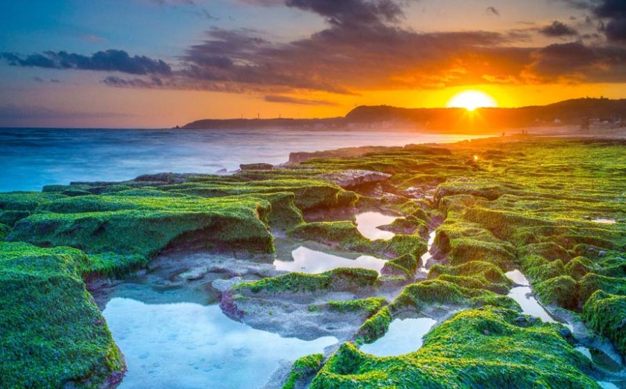 Sunrise at Laomei Green Reef on the coast north of Taipei, Taiwan, where researchers found scant evidence of early human impact on animal extinction. 