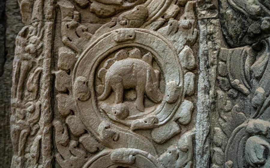The so-called dinosaur carving at Ta Prohm temple in Cambodia.
