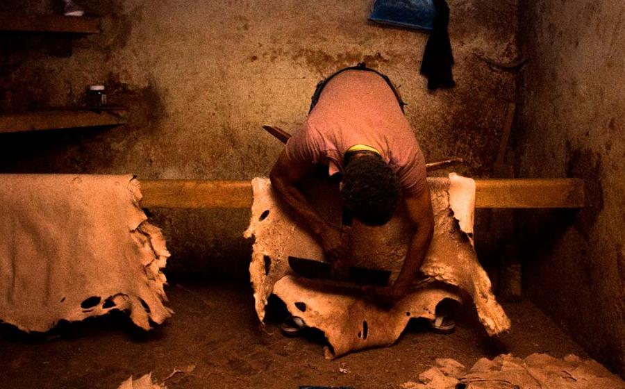 Hide tanning in Morocco. Source: Jorge / Adobe Stock.