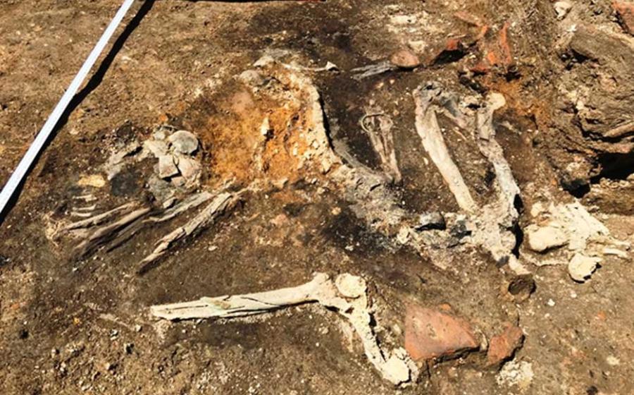 Burnt skeletons found at excavations in Plovdiv, Bulgaria