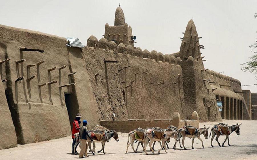 Team of eight unbridled donkeys walk past a mud mosque laden with a load of gravel. 
