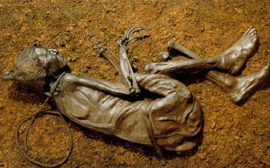 Discovered in 1950, the Tollund Man is on display at the Silkeborg Museum in Denmark. 		Source: Chocho8 / CC BY-SA 4.0