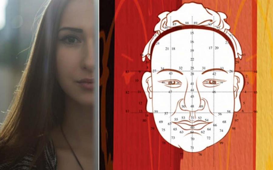 ‘Woman With Brown Hair Near White Painted Wall’ and division of the face according to Mian Xiang