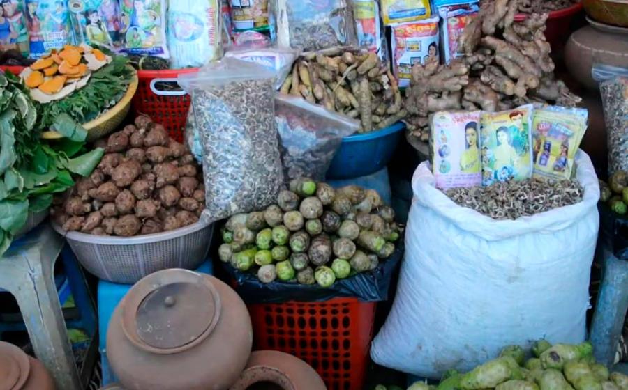 traditional medicine, Cambodia, healers, ingredients, healthcare
