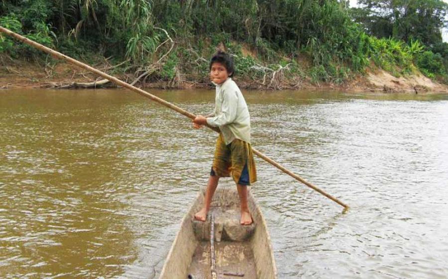 Bolivian Tsimane Amazonians Have the Best Hearts in the World