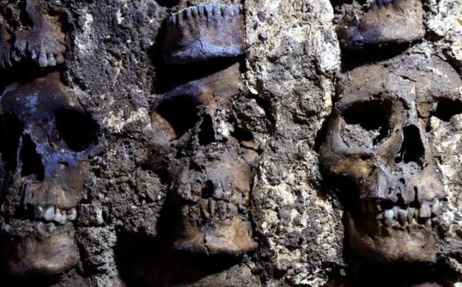 Detail of skulls on the tzompantli (skull rack) found under Mexico City