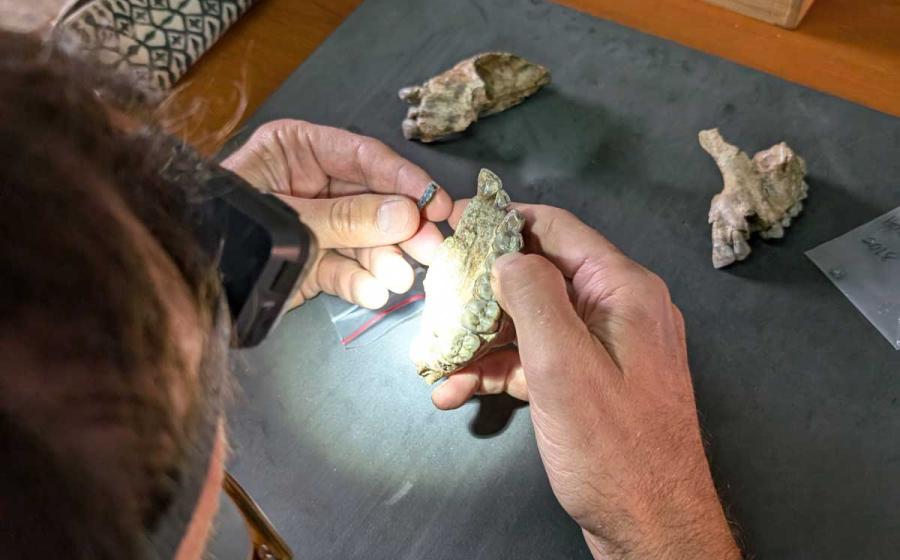 Researcher examining Ledi-Geraru fossils under a headlamp