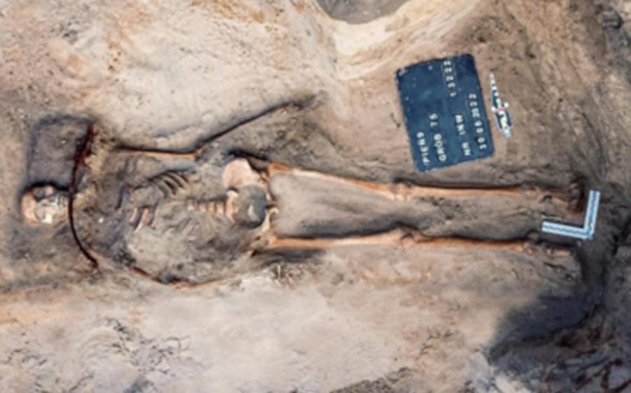 Grave 75 at Pień, showing the disturbed grave and sickle across the woman’s neck.