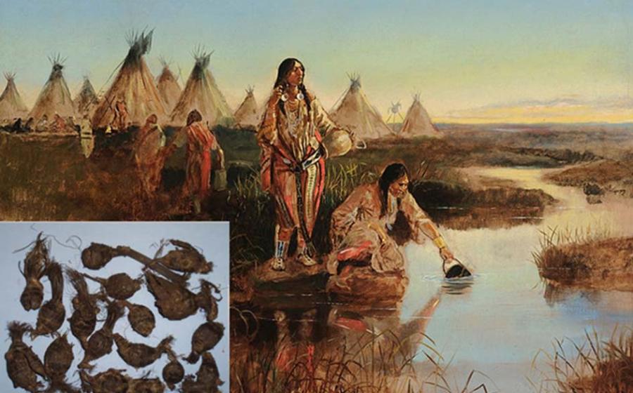 Archaeologists Discover 3,800-Year-Old Underwater Vegetable Garden 