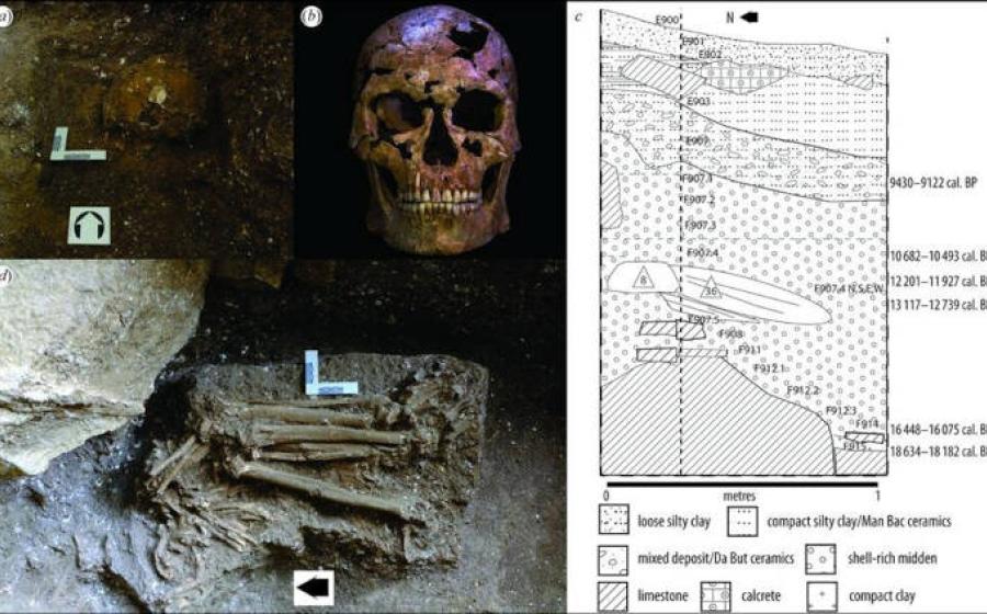 Images of the human remains TBH1 in the Thung Binh 1 cave, and diagram of the stratigraphic position of the find. 
