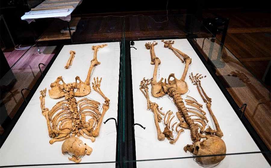 Study reunites Viking family members separated by the North Sea for 1000 years. 