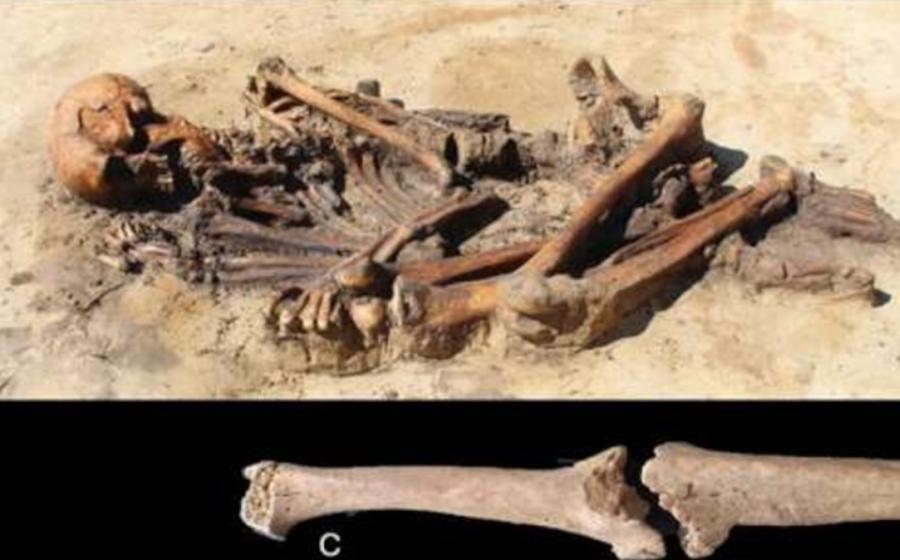 Adult male skeleton recovered from ancient Scandinavian home.