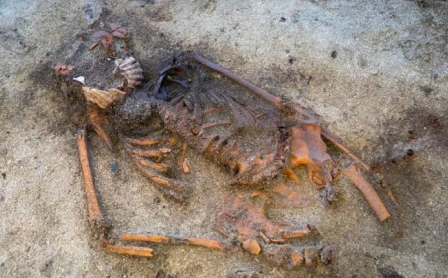 : The Viking Age woman’s remains.