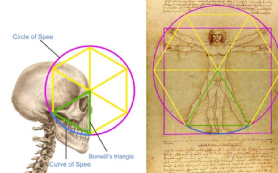 Detailed geometric analysis showing how the triangle relates to Bonwill's triangle and creates the mathematical foundation for the drawing's proportions.