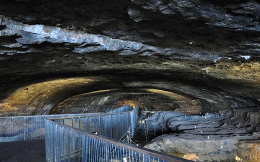 Our human ancestors, who lived in Wonderwerk Cave in South Africa, were likely Homo habilis.	