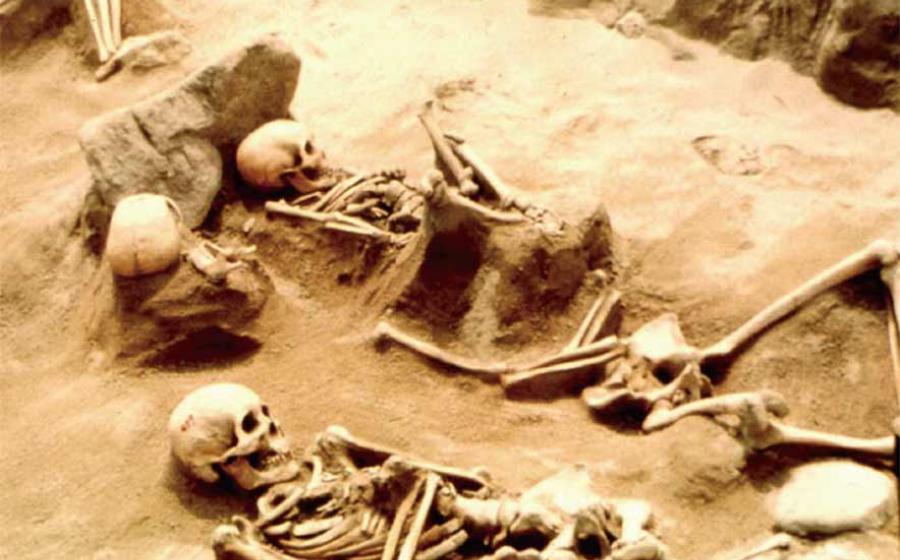 Study Reveals Extensive Hyper-Violence in Japan’s Ancient Yayoi Period