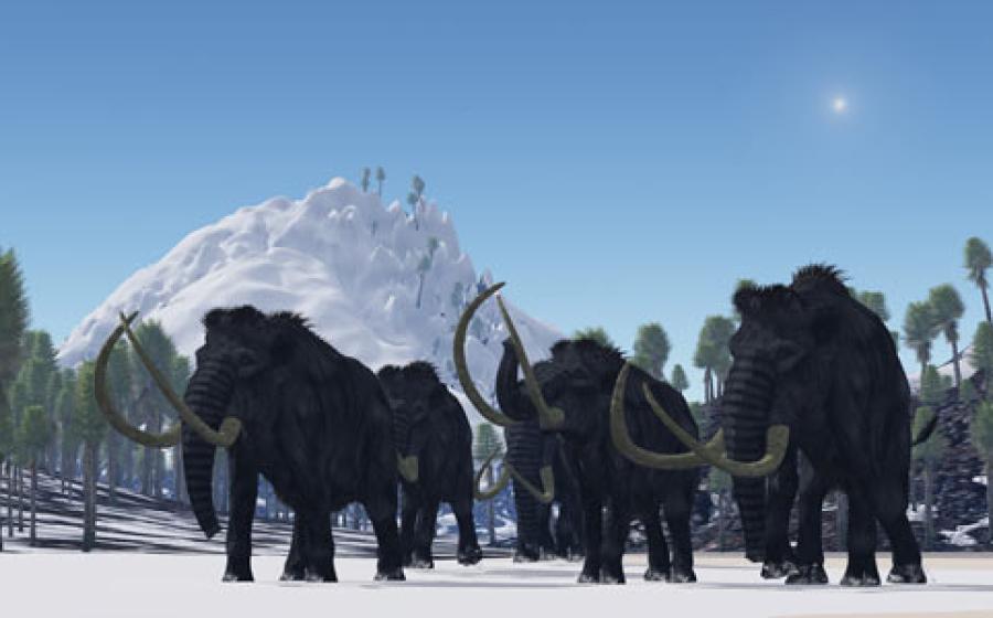 Ancient extinct species
