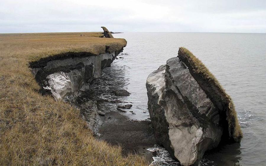 In this photo you can see a collapsed block of ice-rich permafrost along Drew Point, Alaska. Ancient diseases released from such rapid change pose a dire threat to 21st-century human populations.            Source: Benjamin Jones, U.S. Geological Survey / Public domain