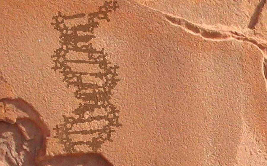 Ancient DNA - Human Exodus