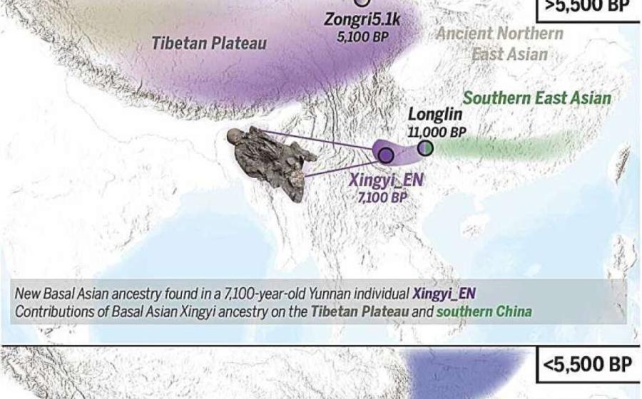 Population migration, replacement, and the preservation of deeply diverged ancestry in southern East Asia