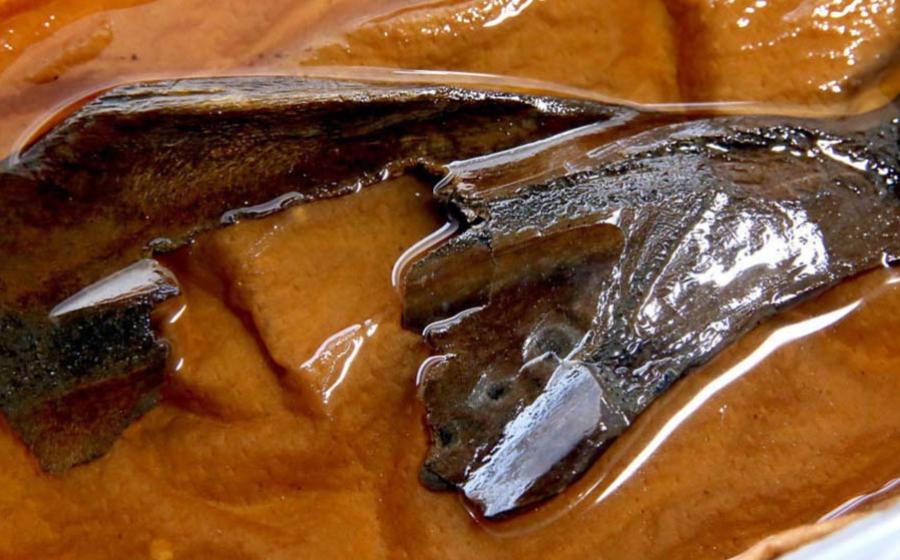 A piece of animal bone used for fortune-telling excavated at the Makimuku ruins in Sakurai, Nara Prefecture. It has three burn marks in the middle. 