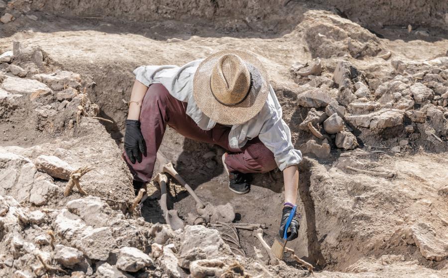 Archaeologist inspects skeleton