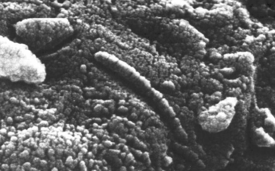  Astrobiology Search Extraterrestrial Life