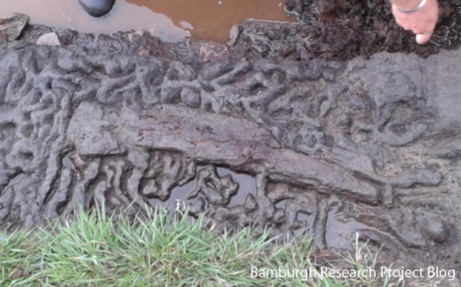 6,500-year-old wooden paddle