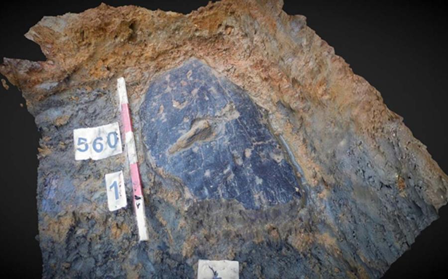 The bark shield is made from green bark that has been stiffened with internal wooden laths. Source: (University of Leicester / Fair Use)