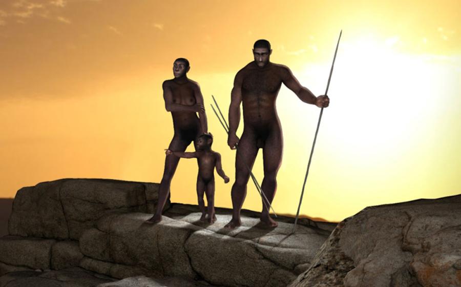 Representation of the bipedal hominins Homo erectus, one of Homo sapiens’ ancestors. Source: ratpack223 /Adobe Stock