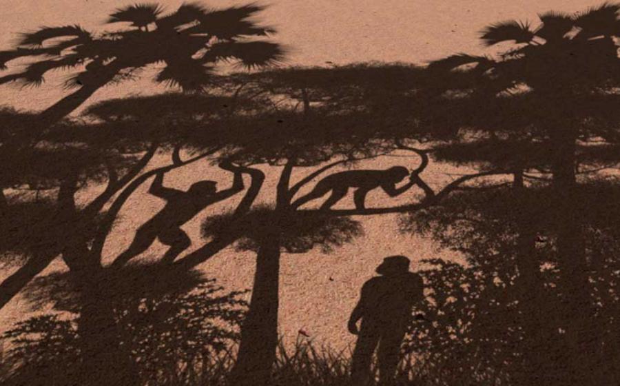 Representation of the modes of locomotion practiced by Sahelanthropus in Chad, Africa 7 million years ago, which is one million years earlier than current biped origins. (Sabine Riffaut, Guillaume Daver, Franck Guy / PALEVOPRIM / CNRS – University of Poitiers)