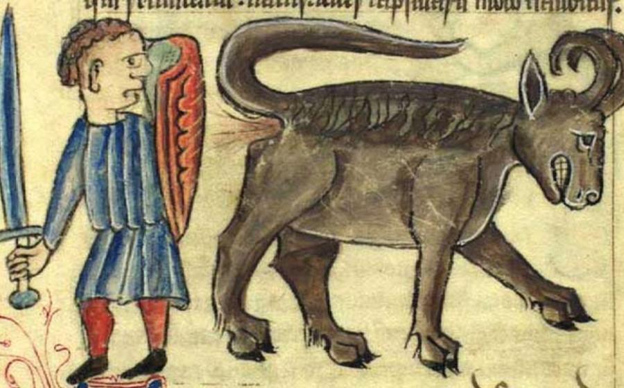 Depiction of a bonnacon in a medieval bestiary. 