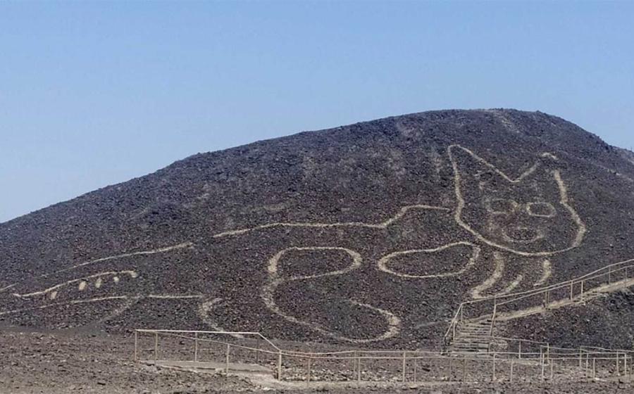 Giant Cat Geoglyph Found Near the Mysterious Nazca Lines