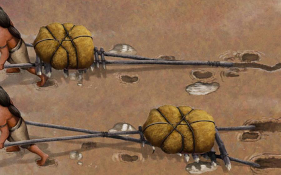 Ancient travois.  Study reveals oldest handcarts in New Mexico.