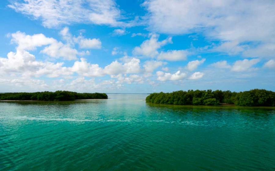 Research at the site of Vista Alegre, has uncovered evidence that this was once a bustling port used by the coastal Maya. Source: lunamarina / Adobe Stock