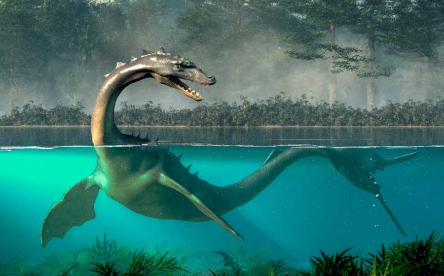 The Altamaha-ha legend has its roots in Muscogee traditions. This cryptid river monster with an alligator shaped head and long neck, is said to inhabit the Altamaha river and nearby marshes in southern Georgia. Will it be the next cryptid proven real? Source: Daniel Eskridge / Adobe Stock