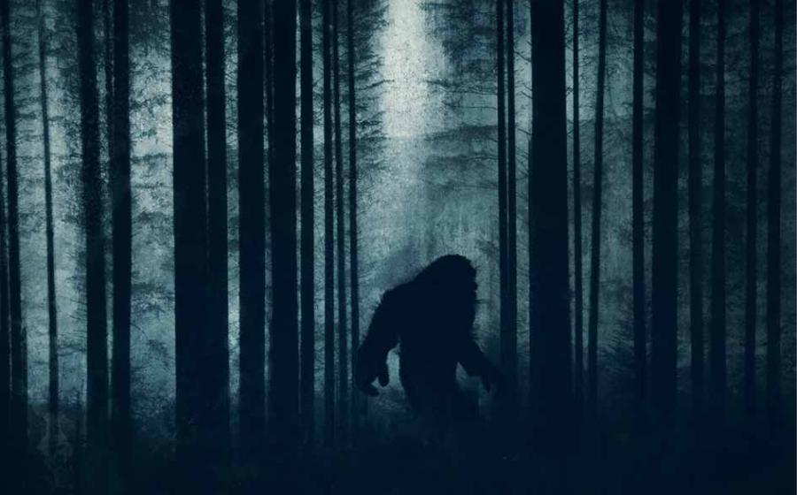 Hundreds of people report cryptid sightings like Bigfoot every year. Will definitive proof ever be found?           Source: Dave / Adobe Stock