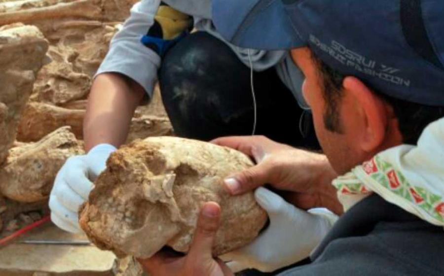 One of 13 intentionally modified deformed skulls found at the Tol-e Chega Sofla Neolithic cemetery in Iran. Source: Tehran Times