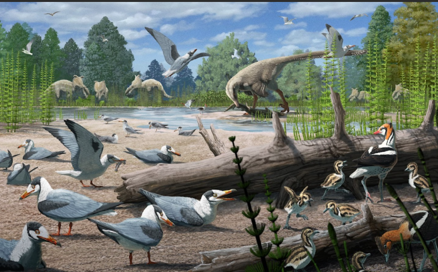 Illustration: dinosaurs and birds.