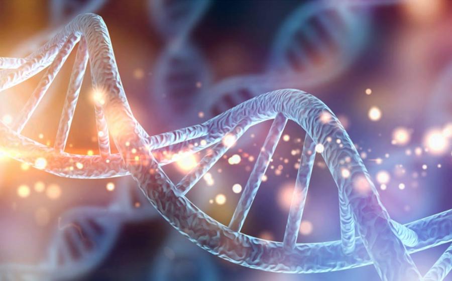 Neanderthal DNA might play a role in autism