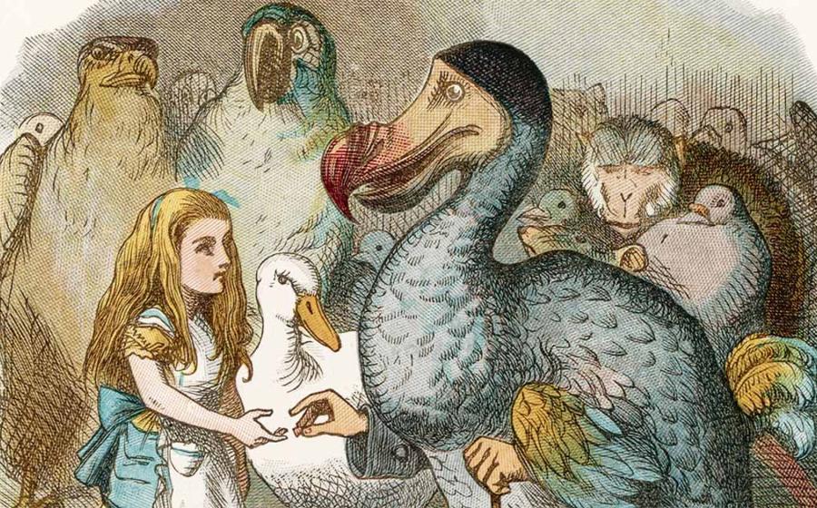 Illustration by John Tensile of the Dodo from Lewis Carroll’s “Alice's Adventures in Wonderland.” Source: Archivist / Adobe Stock