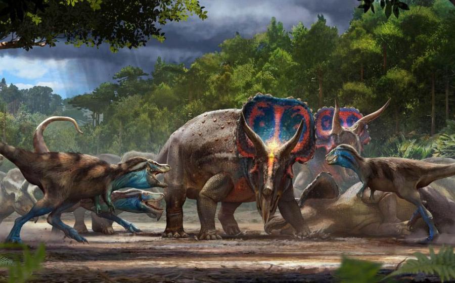 A museum artist’s version of the dueling dinosaurs, which is being used as the promotional image for the North Carolina museum exhibit.                   Source: Matt Zeher / North Carolina Museum of Natural Sciences
