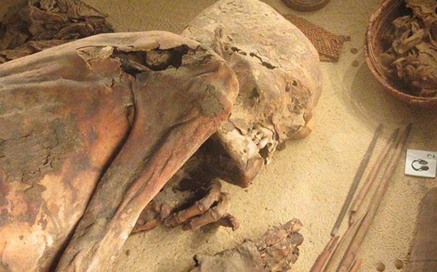 Turin Mummy, known as ‘Fred’, Egypt Museum of Turin.