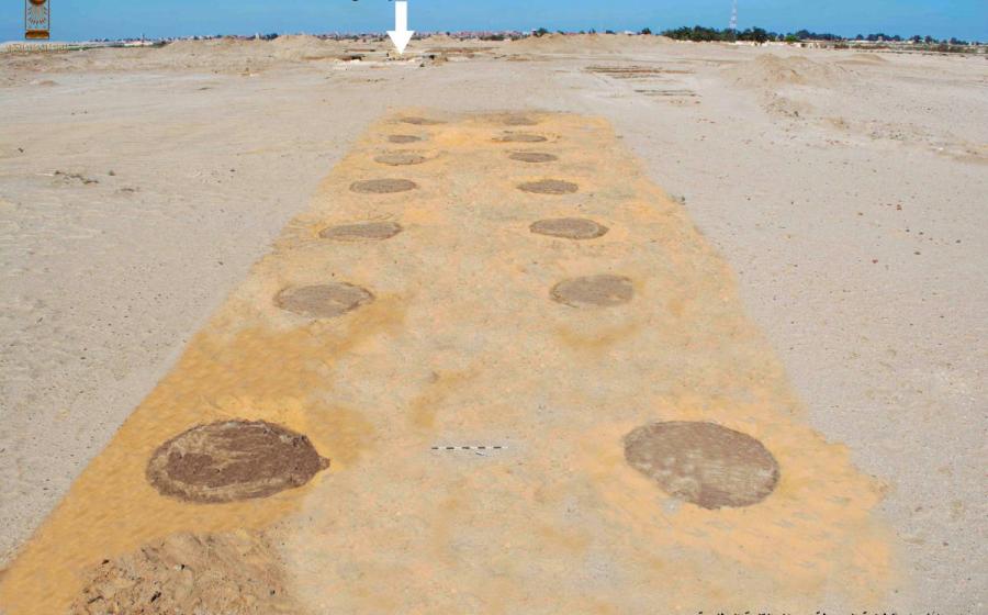  Aerial view of planting circles and road, leading to fortress ruins indicated in the distance.