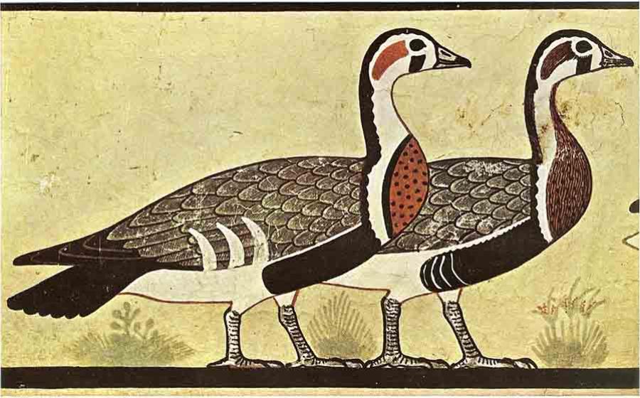 Anthony Romilio argues that the geese depicted in the 4,600-year-old- tomb painting at Meidum is actually an extinct goose species. Source: Public domain
