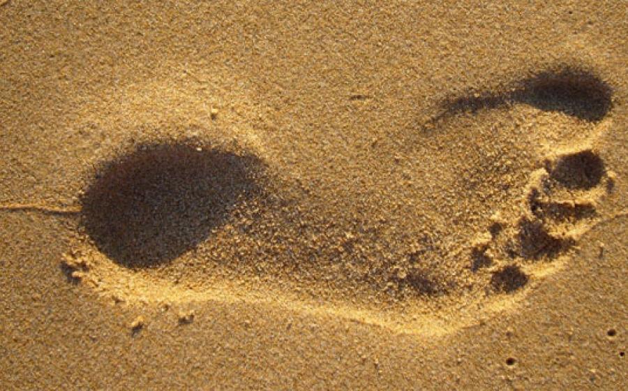 Early Humans Footprints