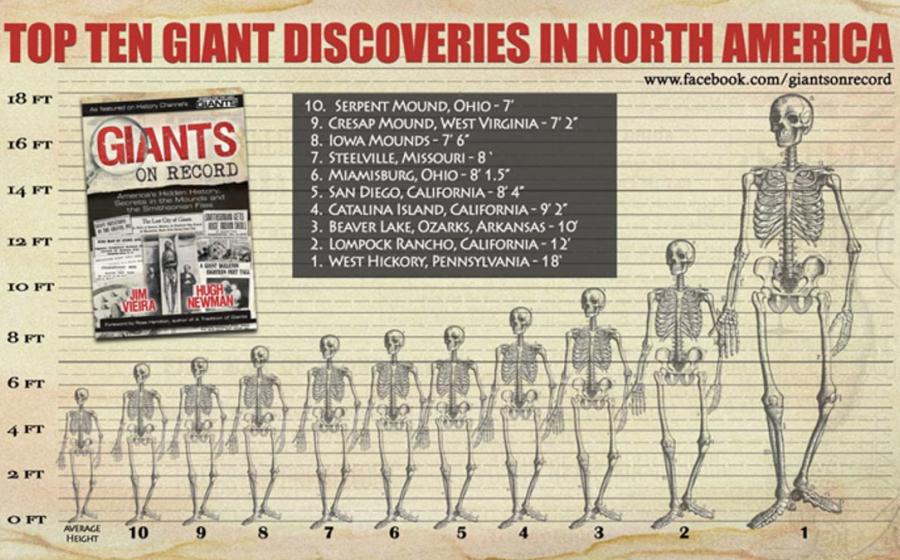 Graphic chart displaying the heights of various giant discoveries in North America (authors supplied)