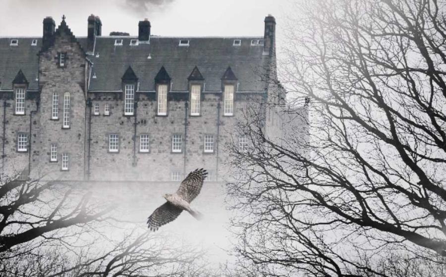 Edinburgh Castle is reputed to be one of the most haunted monuments in the world! This is unsurprising, given all the bloodshed it’s seen since the 12th century.	Source: Savvapanf Photo / Adobe Stock
