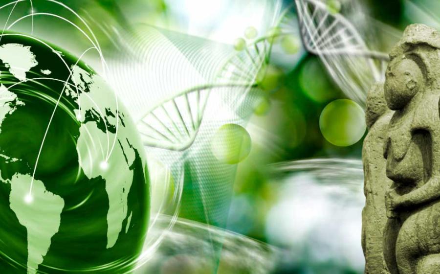 The latest innovation in home DNA tests uses ancient DNA to reveal unique insights into ancestry. Source: cooperr / Adobe Stock